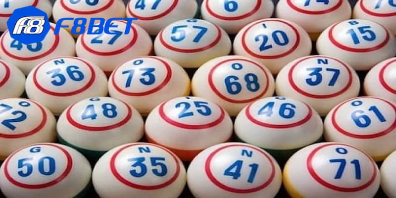 Bạch thủ lô nuôi khung 5 ngày được hiểu sơ lược là gì