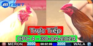 đá gà trực tiếp CPC4