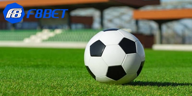 Chiến thuật cược kèo handicap là gì​ uy tín cho newbie