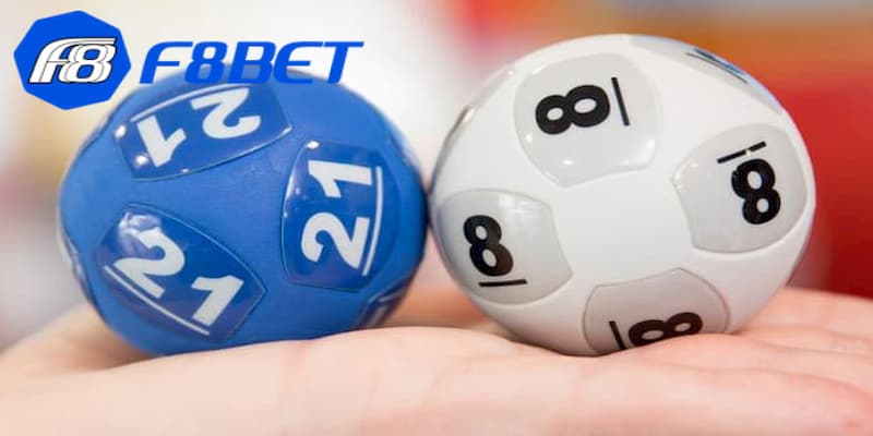 Cách nuôi song thủ lô khung 3 ngày chuẩn xác hiện nay