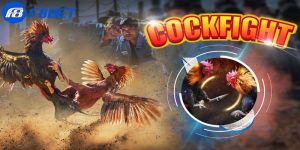 phần mềm hack đá gà