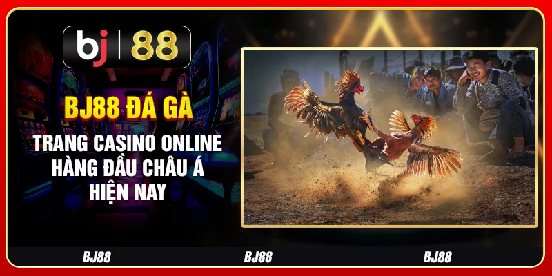 Bj88 Đá Gà – Trang Casino Online Hàng Đầu Châu Á Hiện Nay