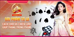 Bài Phỏm Tá Lả: Cách Chơi Và Chiến Lược Giúp Thắng Trong Phỏm